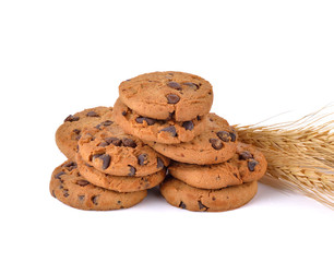 Chocolate chip cookie on white background