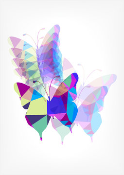 color vector origami butterflies