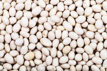 raw white haricot beans