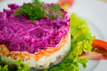 Fresh vegetable salad