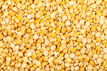 many raw yellow split peas