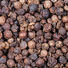 Black pepper peppercorns close up
