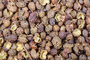 many dried pods of Sichuan pepper