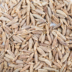 dried cumin (cummin) spice seeds close up