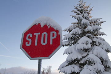 Stop den Winter