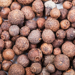 jamaica pepper berries (allspice) close up