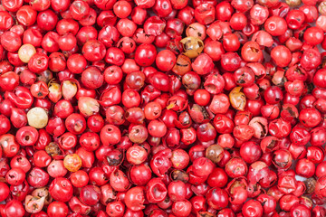many red pepper peppercorns