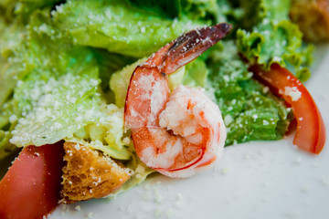 Fresh seafood salad