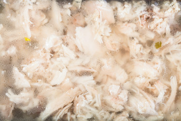 congealed chicken aspic close up