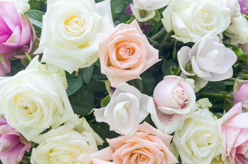 Bunch of flowers background