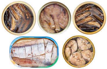 set on tinned fish in open tins isolated on white