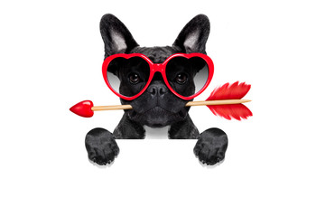 Fototapeta premium valentines dog in love