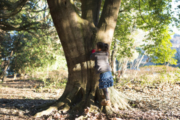 森で遊ぶ女の子