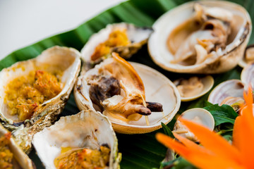 Shells on the dish