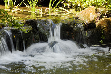 A shallow stream flows quickly over rocks creating a small waterfall
