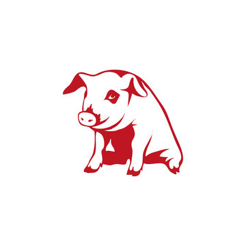 Pig logo.Vector 