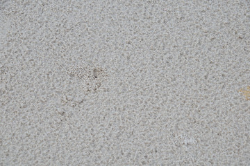 Sand Texture