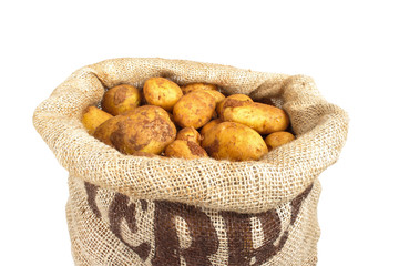 Kartoffeln im Sack, Sorte Sieglinde Galatina