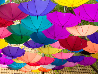 umbrella lots of