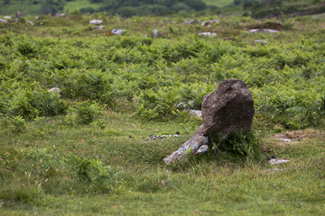 Dartmoor - Devon - England