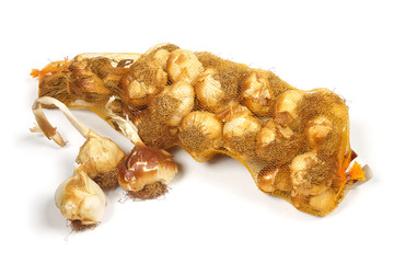 Knoblauch geräuchert im Netz