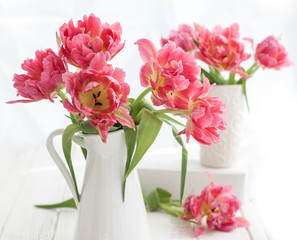 Fototapeta na wymiar pink double peony tulip