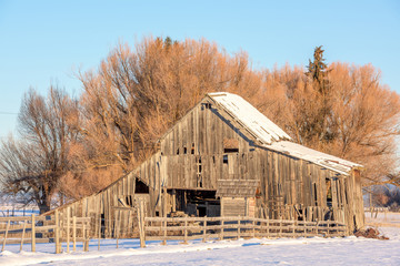 Rustic old wood barn in the winter