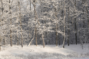 empty table covered with snow