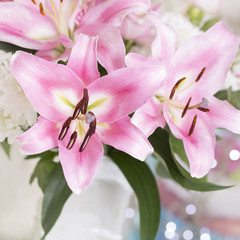 Pink Flowers, square cropped