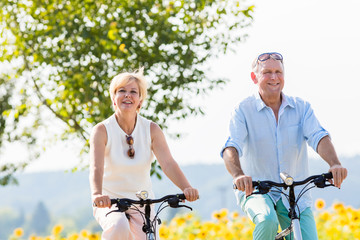 Senioren, Paar aus Frau und Mann, fährt Fahrrad an einem Sonnenblumen Feld