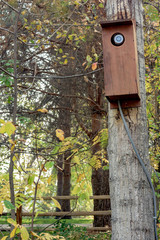 Surveillance camera hidden in a birdhouse