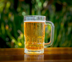 Mug of cold beer