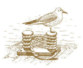 Fototapeta premium Seagull sitting on a bollard drawn by hand