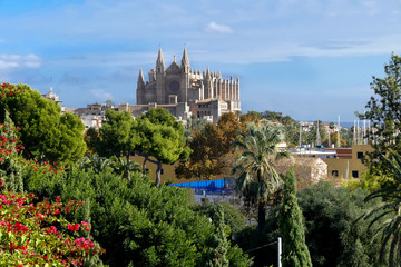 Fototapeta na wymiar Blick von oben auf die Kathedrale von Palma de Mallorca