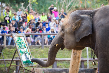 Elephant painting on paper in elephant's show, Thailand