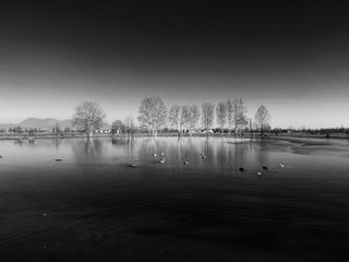 natura bianco e nero