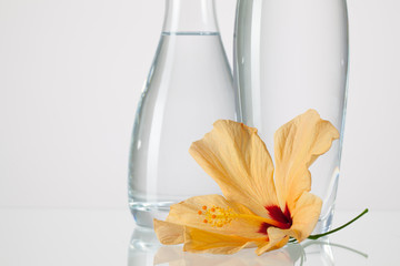 Two vases with clean water and hibiskus flower © Radomir Rezny
