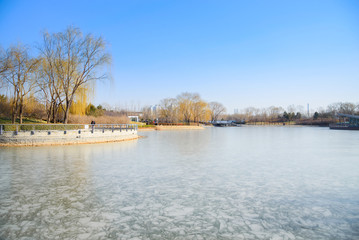Fototapeta premium The frozen lake in the public park.