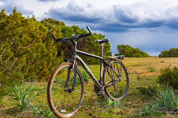 Fototapeta na wymiar bicycle stay among a grass