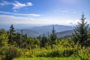 Foto op Aluminium Uitzicht vanaf de top van Clingmans Dome in de Great Smoky Mountains. Op meer dan 6000 ft boven de zeespiegel is dit het hoogste punt van het Great Smoky Mountains National Park en de Appalachian Trail. © ehrlif