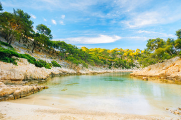 Beautiful nature of Calanques on the azure coast of France. 