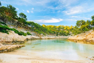 Beautiful nature of Calanques on the azure coast of France. 