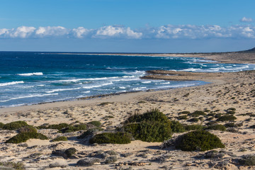 emerald sea coastline, cyprus