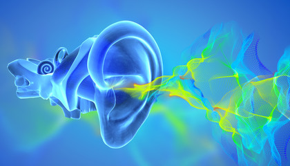 3D ear anatomy with siund waves - obrazy, fototapety, plakaty