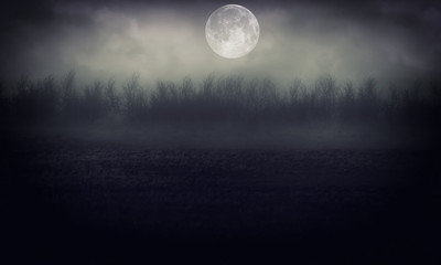 Night Forest With Moon   Abstract Background.	