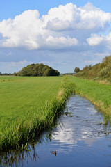 Holandia - Utrecht - peryferia miasta © jaworex