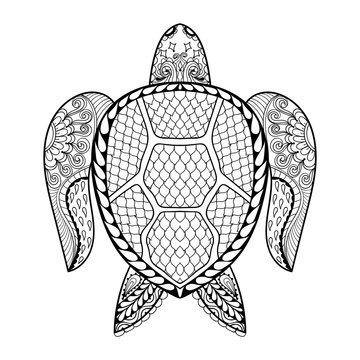 Hand drawn sea Turtle for adult coloring pages in doodle, zentan