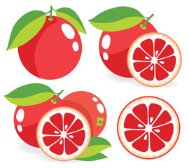 Pink grapefruits vector illustrations