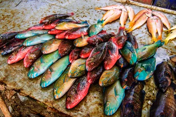 Crédence de cuisine en verre imprimé Poisson Colorful fish stall