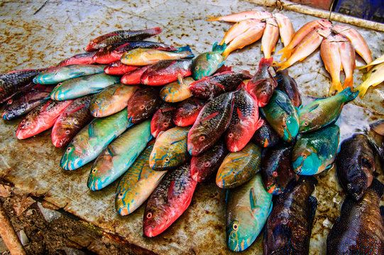 Colorful fish stall